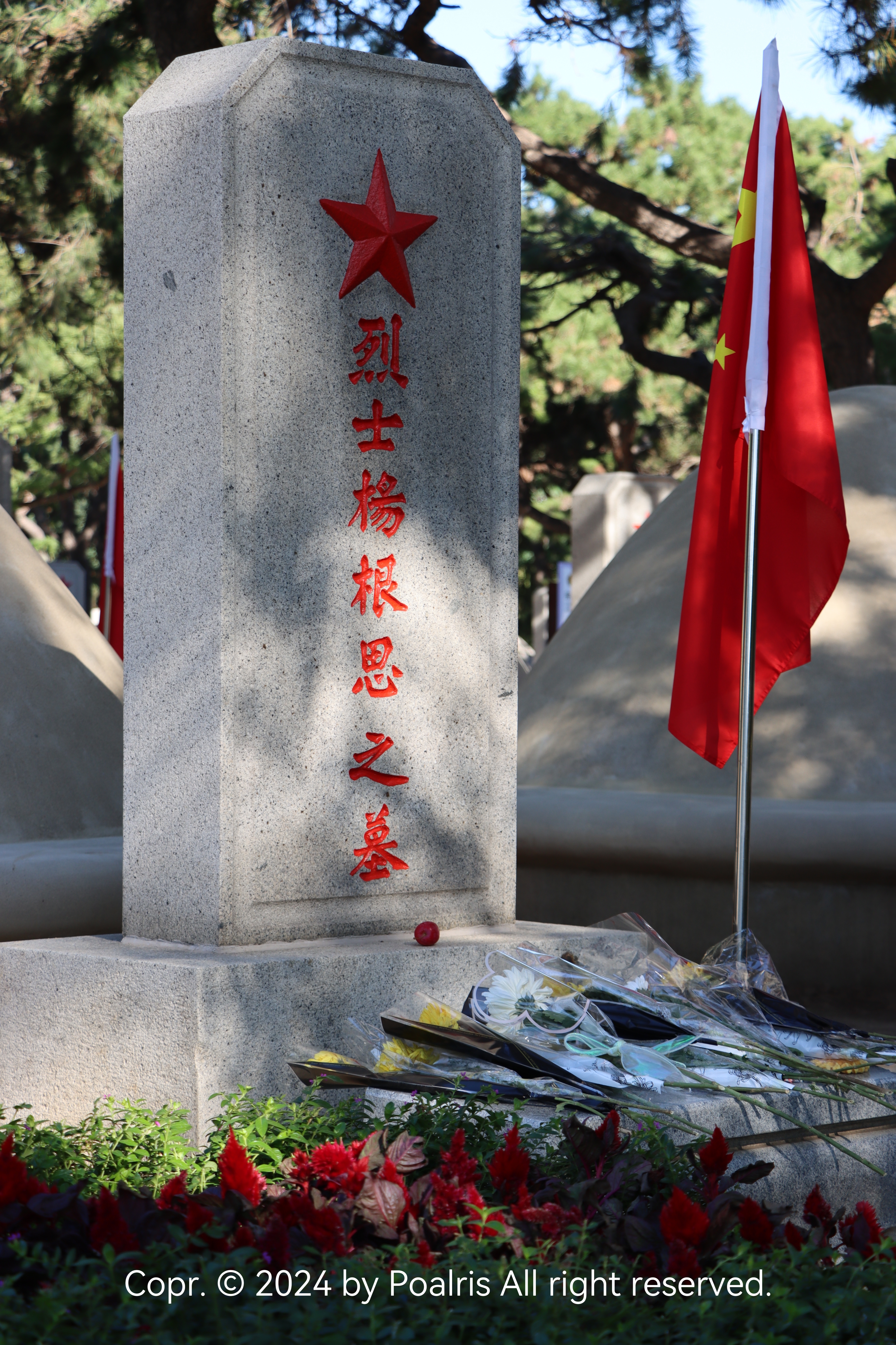 旅行照片 2