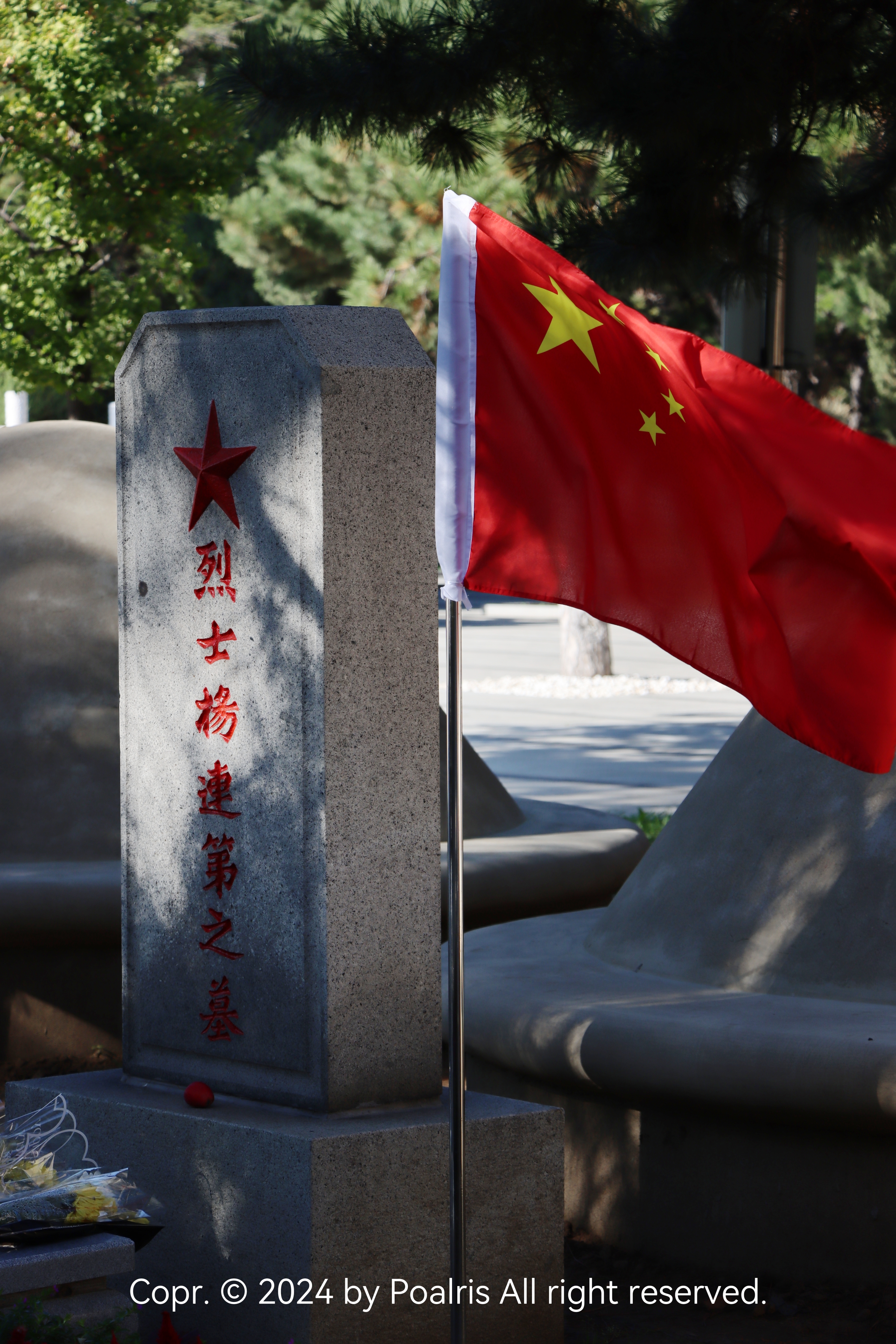 旅行照片 3